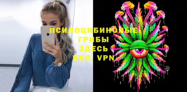 ГАЛЛЮЦИНОГЕННЫЕ ГРИБЫ Аркадак