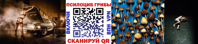 Галлюциногенные грибы GOLDEN TEACHER  Купить  Темрюк 